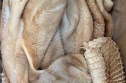 赤峰賣牛頭的電話號碼查詢是多少