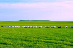 赤峰朵蘭格爾蒙餐廳電話號碼