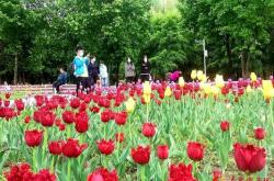 赤峰雨潤鮮花店電話號碼查詢