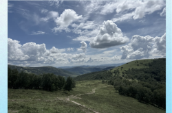 赤峰四中籃球場電話號碼