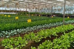 赤峰市小韓垂釣園電話號碼