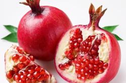 赤峰植物提取物廠家電話號(hào)碼