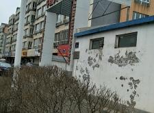 赤峰老年人保險(xiǎn)電話號(hào)碼是多少