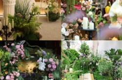 赤峰求婚設(shè)計(jì)師電話號(hào)碼是多少