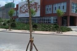 赤峰十二中學(xué)電話號(hào)碼是多少