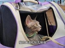 赤峰送水貓購買電話是多少號