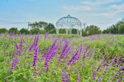 赤峰眾聯(lián)星空游樂場(chǎng)電話號(hào)碼