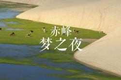 赤峰銥諾凍品批發(fā)電話號碼