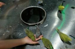 赤峰水族館門票訂購電話號碼