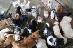 赤峰流浪漢救助站電話(huà)號(hào)碼