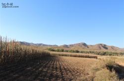 赤峰市敖漢旗麻將館電話號(hào)碼