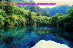 赤峰長途旅游團(tuán)電話多少號