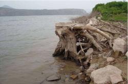 赤峰哈拉道口馬戲團(tuán)電話號(hào)碼