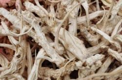 赤峰賣野蘑菇的電話號碼是多少