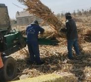 赤峰豬槽批發(fā)市場電話號碼