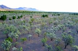 赤峰草原無人機(jī)公司電話號碼