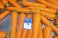 赤峰小羅卜營(yíng)地電話號(hào)碼