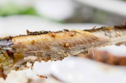 赤峰阿布都燒烤店電話號碼