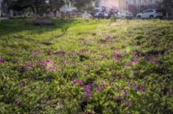 十六英里赤峰賓館