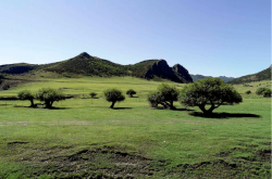 赤峰市林東鎮(zhèn)球館地址電話號(hào)碼