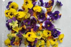 赤峰盤飾鮮花店地址電話號碼