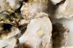 赤峰收舊盤子電話號(hào)碼多少號(hào)