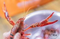 赤峰大排檔演藝集團(tuán)電話(huà)號(hào)碼