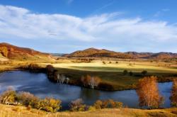 赤峰樺木廠家電話號(hào)碼查詢