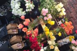 赤峰市花季鮮花店電話號碼