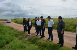 赤峰市牧草銷售電話號碼查詢