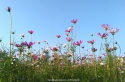 赤峰學院攝影社電話多少號