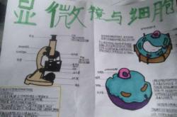 赤峰細胞顯微鏡廠家電話號碼