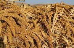 赤峰不銹鋼丸批發(fā)電話號碼