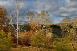 赤峰去美林谷網(wǎng)約車電話號碼