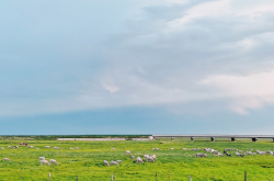 赤峰全瓷牙團購電話號碼查詢