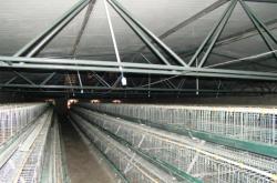 赤峰雞養(yǎng)殖場(chǎng)合作電話地址查詢(xún)