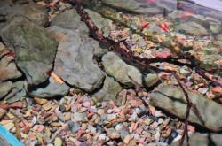 赤峰天虹水族館地址電話號碼