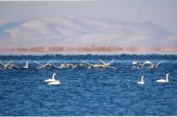赤峰愛法貝樂園電話號碼查詢