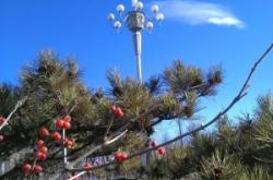 赤峰市紅山區(qū)招辦電話號(hào)碼