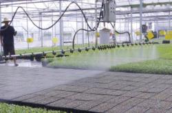 赤峰田圃育苗基地電話地址查詢