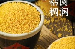 赤峰五谷膳食坊電話地址查詢