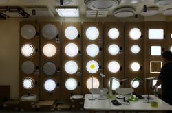 赤峰歐普專賣店地址電話號碼