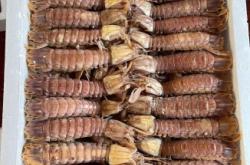 赤峰冷凍蝦批發(fā)電話多少號