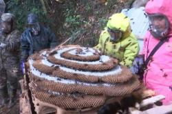 赤峰土蜂養(yǎng)殖基地電話(huà)號(hào)碼查詢(xún)