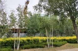 赤峰摩爾城2樓電話多少號(hào)