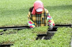 赤峰市育苗室電話號(hào)碼查詢