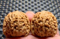 赤峰回收文玩核桃電話號碼