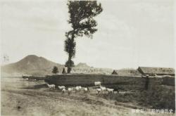 赤峰巴林右旗地毯廠電話是多少