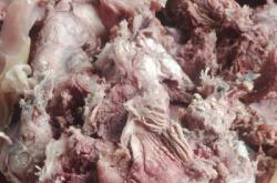 赤峰二道街羊頭店電話地址查詢