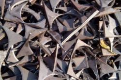 赤峰寶利廢品收購公司電話號碼